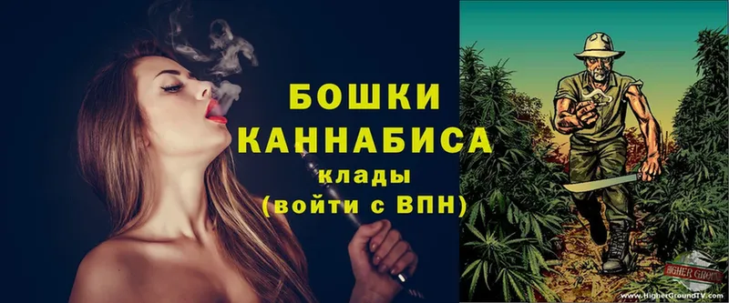 Бошки марихуана OG Kush  закладки  Пучеж 